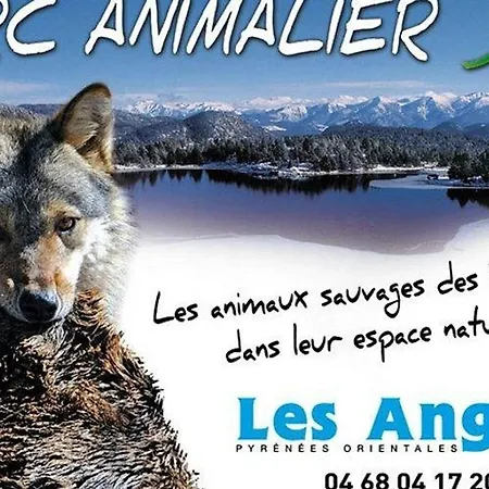 T2 Au Cœur De La Station, équipé, Avec Casier à Skis Et Garage - Fr-1-593-111 * Les Angles (Pyrenees-Orientales)